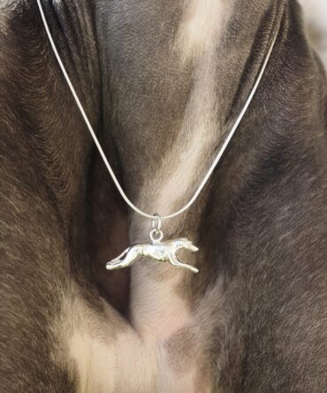 Colgante Galgo